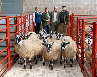 1 Champion Pen First Prize Scotch Mules from RW and SD Flintoft Sourhope